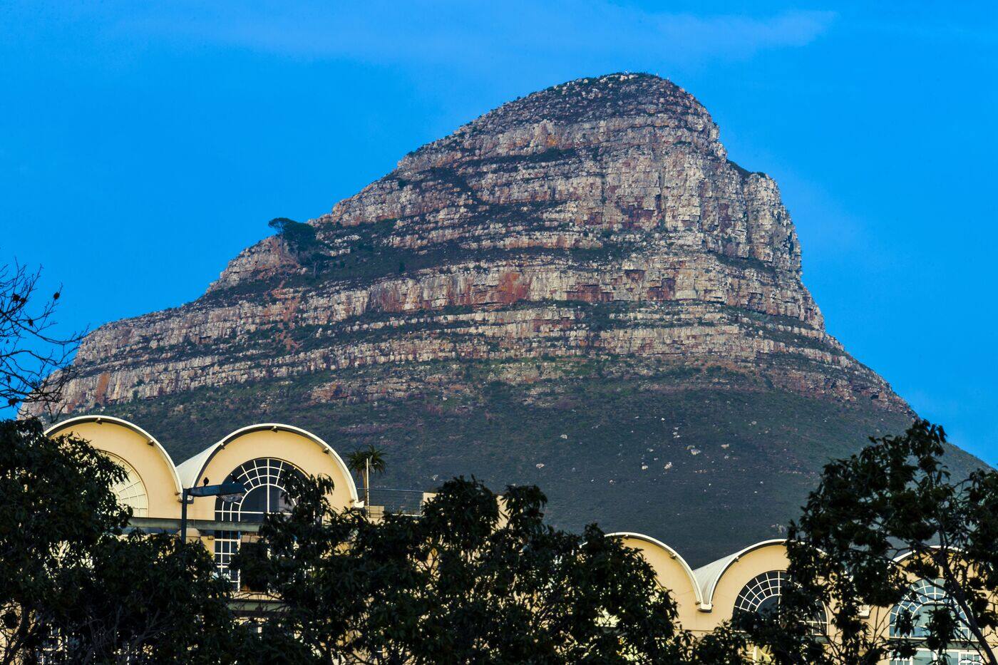 Lion's Head rising above a historic Cape Town building in early morning light